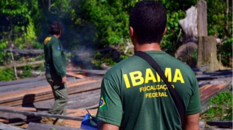 Com salário de até R$ 6 mil, Ibama abre concurso para 1.143 vagas