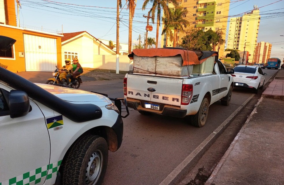 Pirarucu ensacado era transportado em isopores na carroceria de caminhonete — Foto: BPA/Divulgação