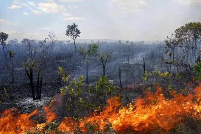 Biomas brasileiros devastados equivalem ao território de quatro estados