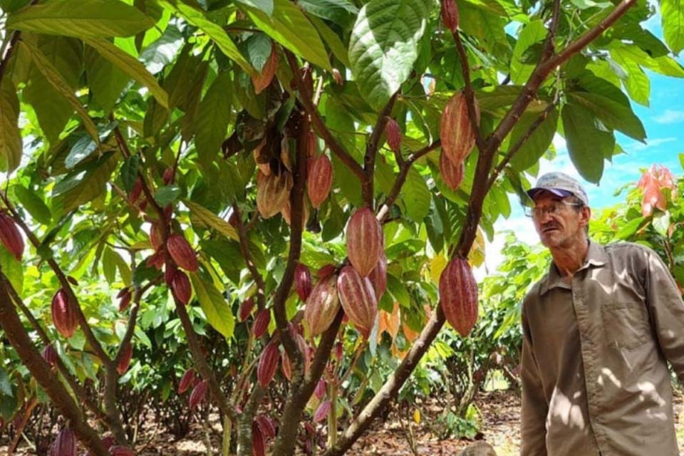 Produtor jaruense é destaque entre os finalistas do IV Concurso Nacional de Qualidade de Cacau Especial do Brasil