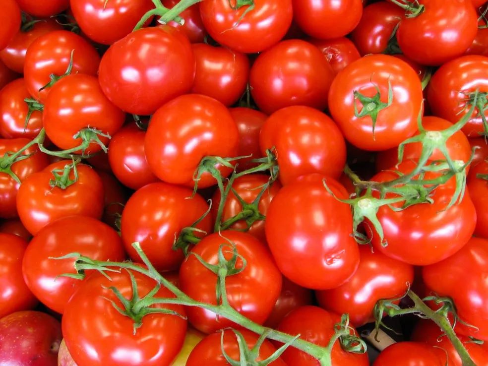 Preço do tomate aumenta mais de 26% em Porto Velho, indica pesquisa da Unir