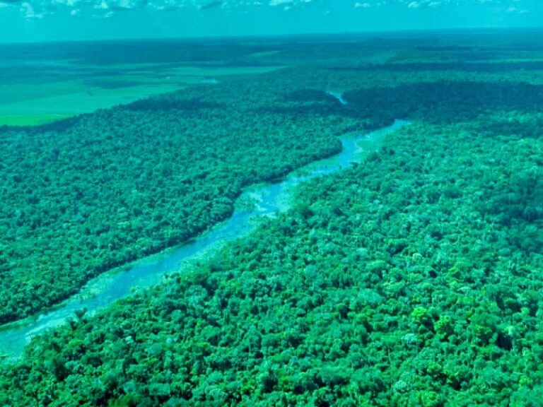 Governo de Rondônia adere ao Plano ABC+, agricultura de baixa emissão de carbono