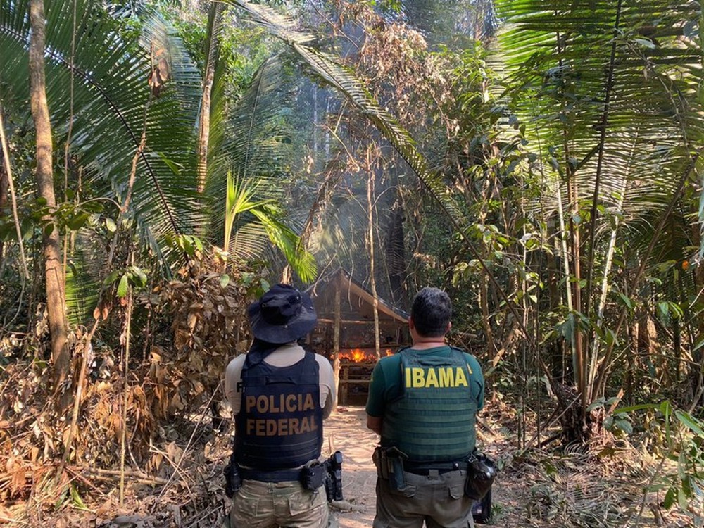 PF flagra áreas de garimpo e desmatamento com acampamentos dentro de Terras Indígenas em RO