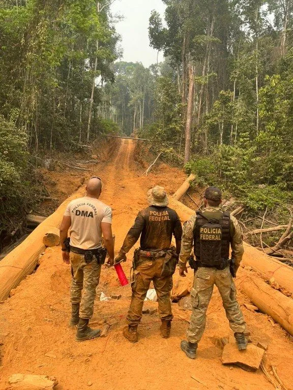 PF deflagra Operação Jacundá em combate a crimes ambientais