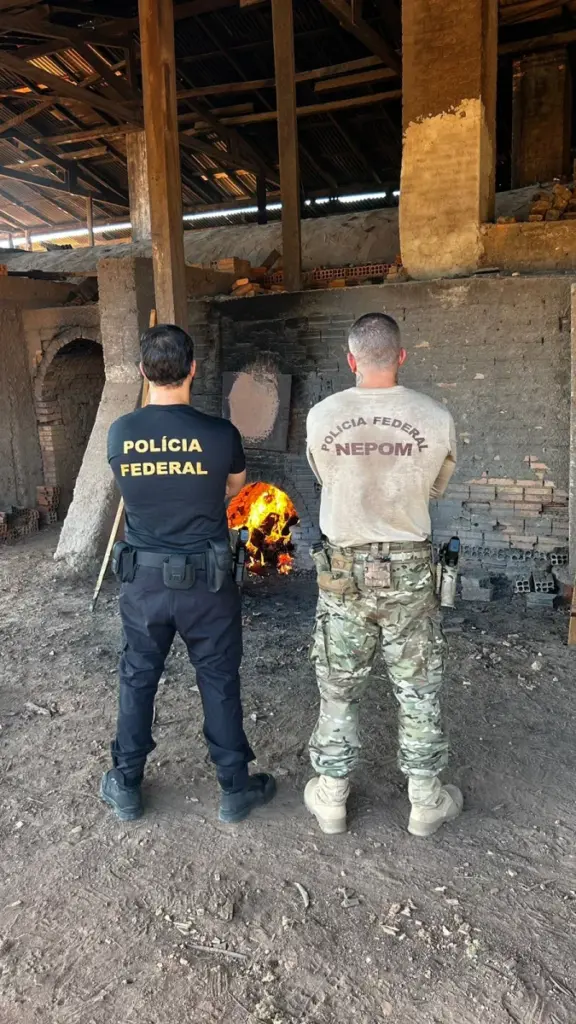 PF realiza incineração de 400kg de entorpecentes em Guajará-Mirim