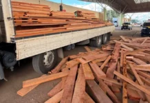 PRF flagra transporte irregular de madeira serrada em Vilhena e aciona órgãos ambientais