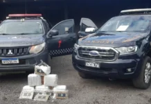 Drogas, arma e munições são apreendidas em área rural de Cacoal