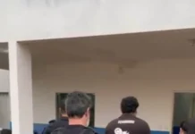 Terceira fase da Operação Descarrilho desarticula célula criminosa em Espigão do Oeste