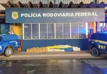 Ação integrada resulta na apreensão de 338 kg de drogas em RO