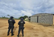 Grupo armado rendem vigilante rouba avião do ex-deputado Neodi Carlos em RO