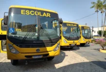 Detran-RO libera consulta de veículos escolares para pais e responsáveis