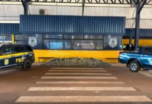 Ação conjunta entre PRF em Rondônia e Receita Federal resulta na apreensão de mais de 460 kg drogas em Vilhena